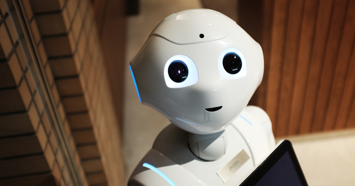 AI Developer vs ML Engineer: What's the Difference and Who Do You Actually Need? — Woyce Technologies